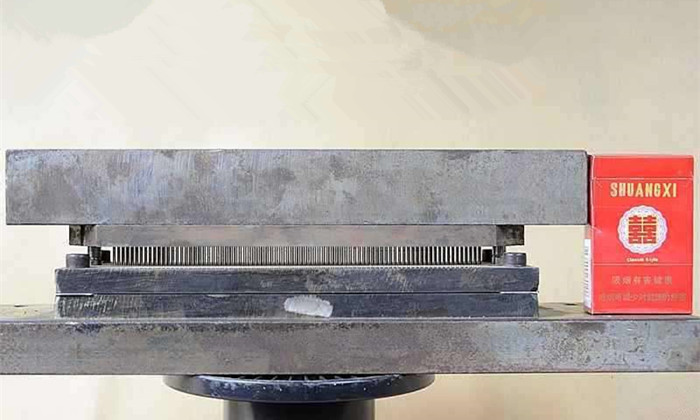 Perforated Plate Punching Die
